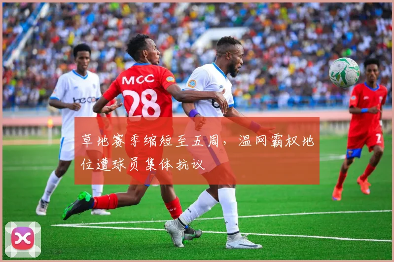 草地赛季缩短至五周,温网霸权地位遭球员集体抗议